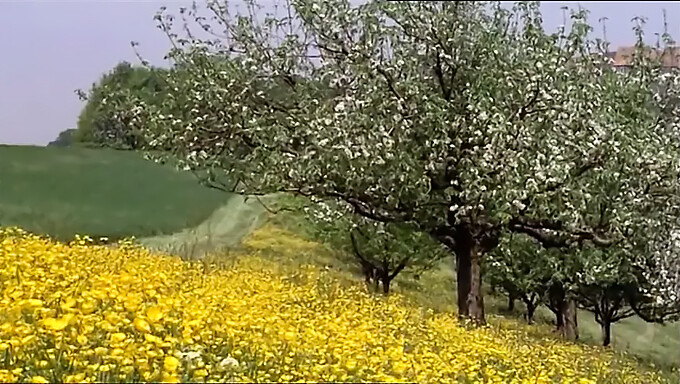 1977: Цео филм ученица које мастурбирају и једу пичке.