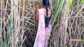 Outdoor Sex With Aunty In Sugarcane Field