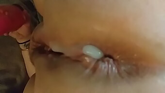 A Collection Of Anal Creampie Scenes With Uk Amateurs