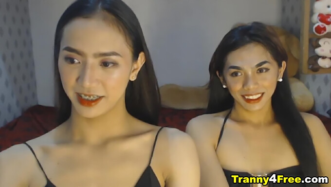 Skinny Asian trans cam star gives double-ended blowjob