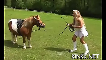 Um Vídeo Bdsm Com Uma Buceta Molhada Cavalgando Você.