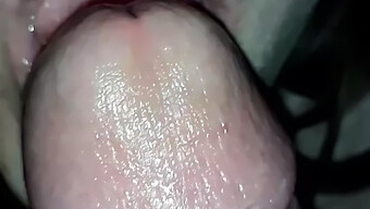 My Wife Gives Me A Blowjob In This Hot European Video