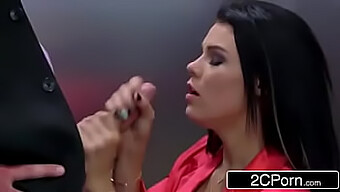 Peta Jensen, Zzs Sıcak Sahnede