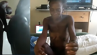 Amatööri parit tutkia heidän seksuaalisia halujaan kotitekoisia videoita