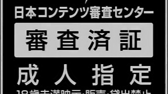 Karin Aizawa和kokone Mizutani主演了一个性感的女仆主题视频。